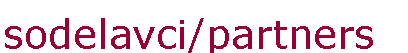 Text Box: sodelavci/partners